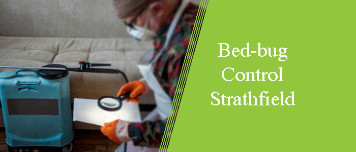 Bed Bug Control Strathfield
